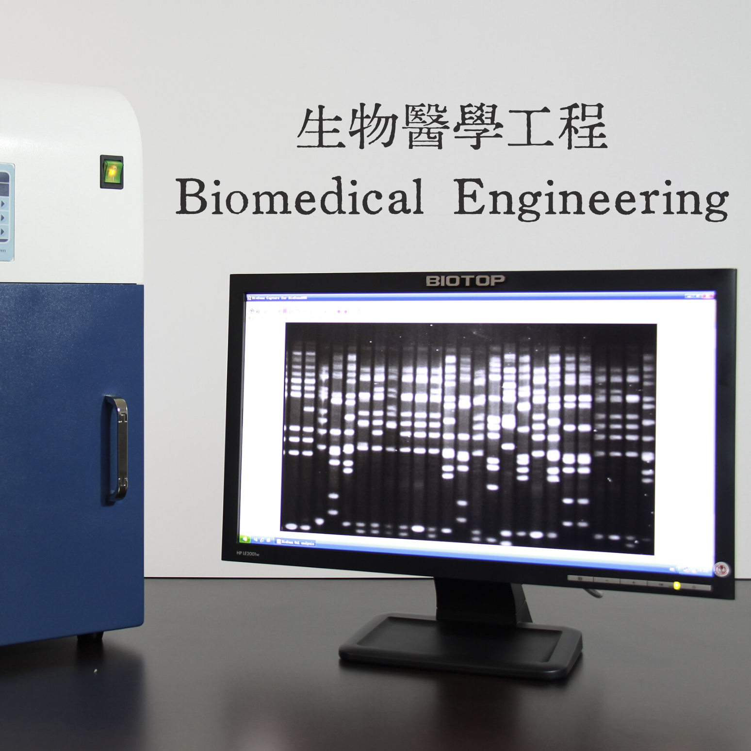 This is a picture of the major BEng in Biomedical Engineering BEng in Biomedical Engineering 